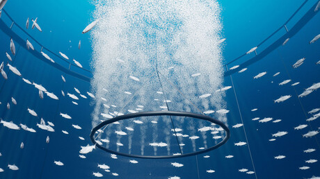 Oxygénateur Sea Pen pour protéger vos poissons.