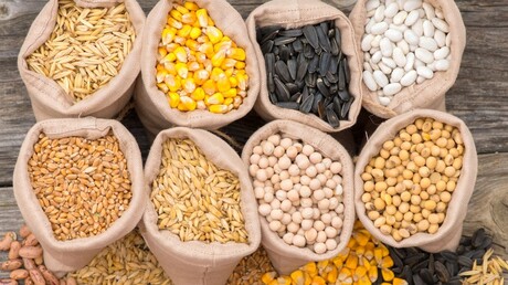 utilisation des soufflantes pour le transport pneumatique de grains et autres matières en vrac